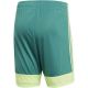 5. Spodenki adidas M Tastigo 19 Shorts DP3251