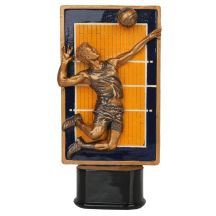 Statuetka siatkówka RFST3065/BR/Y