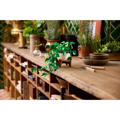 7. LEGO Botanical Collection 11512 - Wiszące epipremnum złociste
