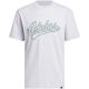 2. Koszulka męska adidas Varsity Tailsweep Graphic szara KS2179