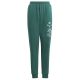 6. Spodnie adidas BLUV Q3 Pant Jr IA1553