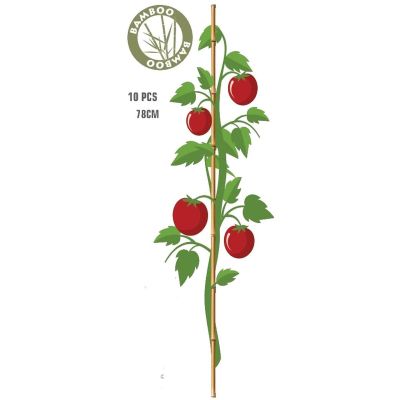 6. PODPORA DO ROŚLIN BAMBUSOWA TYCZKA 78 CM 10SZT PROGARDEN