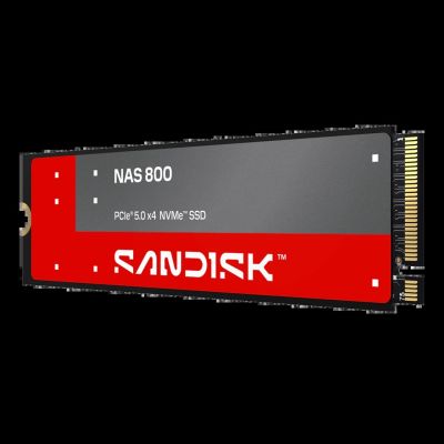 2. SSD Sandisk 960 GB NAS 800 NVMe™ SDSNP2960GAN