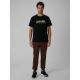 4. T-shirt regular z nadrukiem męski 4F 4FRSS26TTSHM4227-20S