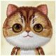 7. Etui Nimmy Big Eyed Pet 2.0 Cat na iPhone 16 Pro Max - zielone