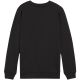 2. Bluza Puma Team Goal Casuals Crew Neck Sweat Jr 658593 03