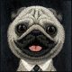 8. Etui Nimmy Big Eyed Pet 2.0 Dog na iPhone 17 - czarne
