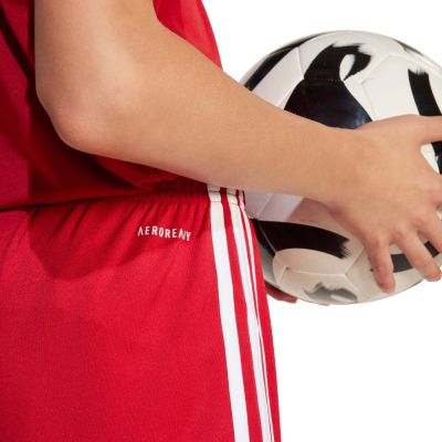 15. Spodenki adidas Squadra 25 Jr JN5456