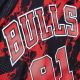 3. Koszulka Mitchell & Ness Marble NBA Swingman Dennis Rodman Chicago Bulls