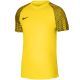3. Koszulka Nike DF Academy Jsy SS M DH8031 719