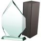 Trofeum szklane z etui