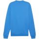 3. Bluza Puma Team Goal Casuals Crew Neck Sweat M 658592 02