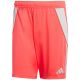 Spodenki męskie adidas Tiro 24 czerwone JI6091