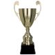 2. Puchar metalowy złoty 4104F