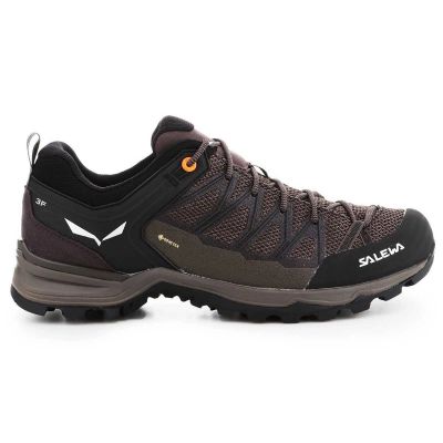 7. Buty trekkingowe Salewa Mtn Trainer Lite GTX M 61361-7512