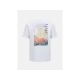 3. Koszulka męska PEAK PERFORMANCE M Original Graphic Tee kolor biały