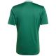 10. Koszulka męska adidas Campeon 25 Jersey zielona JF6063