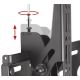 2. B-Tech uchwyt do telewizora BT8424-100 / B 37 - 65