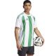 Koszulka adidas Striped 24 JSY M IW2148