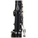 V-TONE C 17 klarnet Bb standard zestaw z futerałem