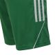 10. Spodenki adidas Tiro 23 League Jr IB8096