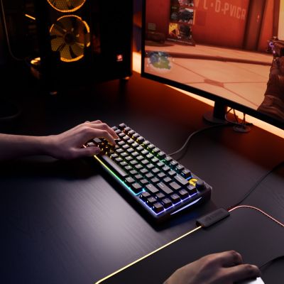 9. Glorious Gaming GMBK 75% klawiatura USB QWERTY US English Czarny