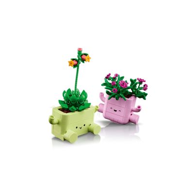 6. LEGO 11506 Botanicals - Bujające się roślinki