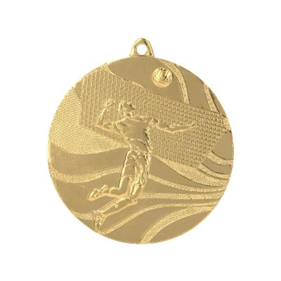 10. medal złoty- siatkówka