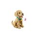 6. LEGO 11384 Icons - Szczeniak golden retriever