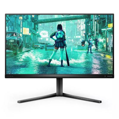 17. Philips Evnia 3000 25M2N3200U/00 monitor komputerowy 62,2 cm (24.5") 1920 x 1080 px Full HD LCD Szary
