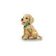 7. LEGO 11384 Icons - Szczeniak golden retriever
