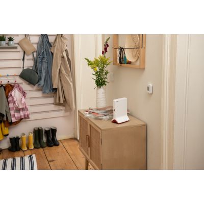 6. FRITZ!Repeater 6000 router bezprzewodowy Ethernet Tri-band (2.4 GHz/5 GHz/5 GHz) Czerwony, Biały