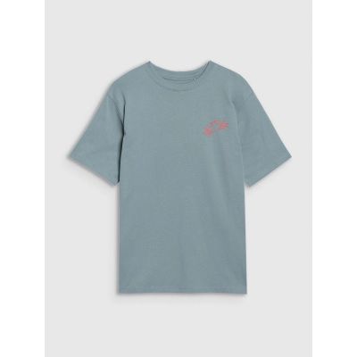 5. T-shirt oversize z nadrukiem chłopięcy 4F 4FJWSS25TTSHM1914-46S