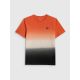 5. T-shirt relaxed z nadrukiem męski 4F 4FRSS26TTSHM3815-70A