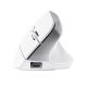 4. Mysz ergonomiczna TRUST Bayo+ Multidevice Wireless