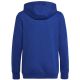 2. Bluza adidas Big Logo Essentials Hoody Jr HN1912