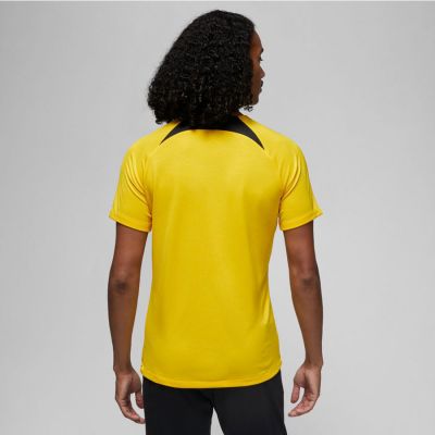 5. Koszulka Nike PSG DF Academy Pro SS Top PM 4TH M DR4906 720