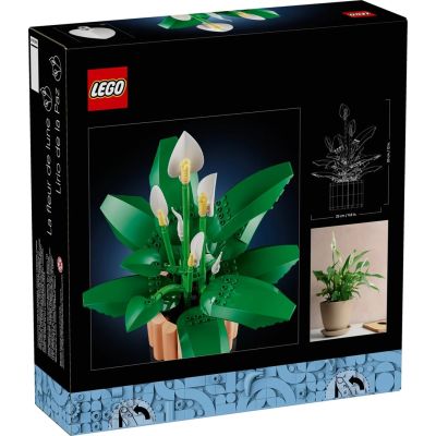 16. LEGO Botanical 11504 Skrzydłokwiat w doniczce