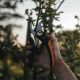 2. Sekator nożycowy Fiskars Plus PowerLever P721