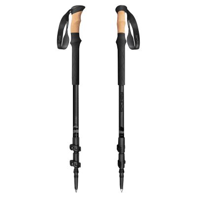6. Kije trekkingowe Spokey Zodiac 105-135 cm trzysegmentowe SPK-944817