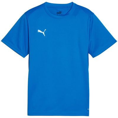 Koszulka dla dzieci Puma TeamGoal Jersey niebieska 658637 02