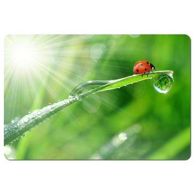 3. Podkładka pod mysz Esperanza Foto Mix EA133