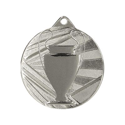 6. Medal srebrny ogólny z pucharkiem