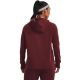 10. Bluza Under Armour Rival Fleece Logo Hoodie W 1356318 690