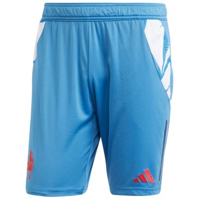 8. Spodenki męskie adidas France Gym niebieskie JC7182