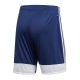 4. Spodenki adidas Tastigo 19 M DP3245