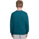 2. Bluza dla dzieci Nike Sportswear Club Fleece zielona FD3006 372