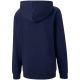4. Bluza Puma teamGOAL 23 Casuals Hoody Jr 656711 06