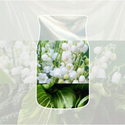 2. Zawieszka samochodowa CLEAN COTTON YANKEE