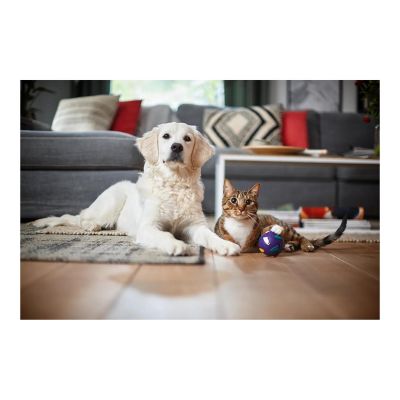 19. Odkurzacz PHILIPS PowerPro Expert FC 9745/09